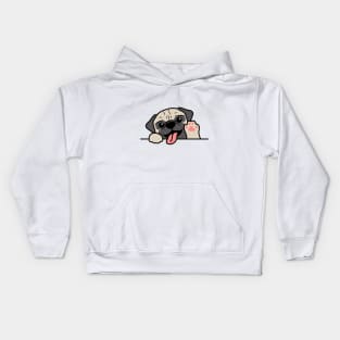 Cute pug dog Kids Hoodie